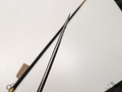 Belgian Rail Official’s Smallsword Sword